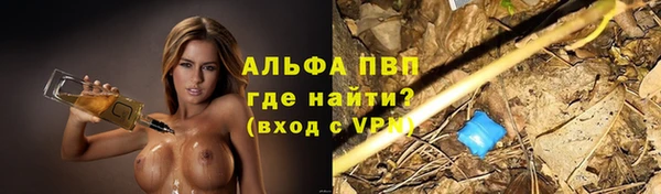гашик Баксан