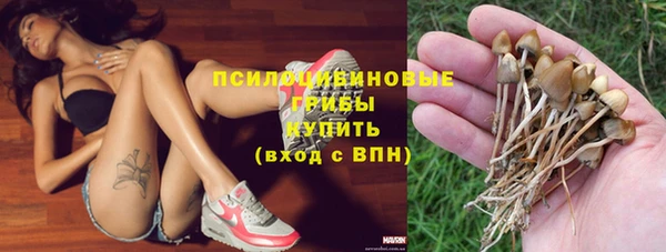 гашик Баксан